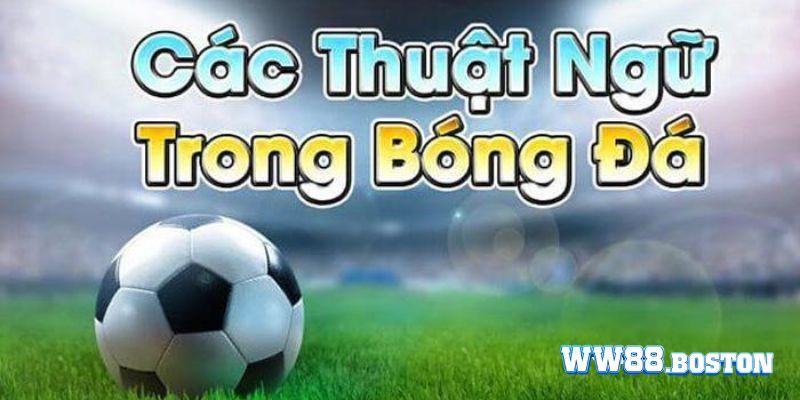 Các thuật ngữ cá độ bóng đá là gì?