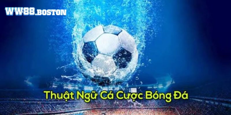 Các thuật ngữ cá độ bóng đá thường được dùng hiện nay