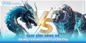 Hướng Dẫn Cách Chơi Rồng Hổ Và Một Vài Mẹo Hay Từ Cao Thủ